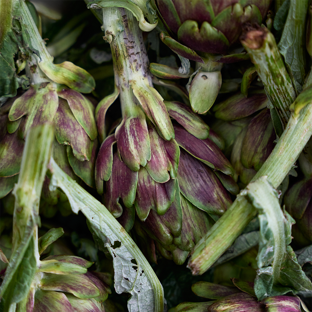 Artichokes at Prahran Market