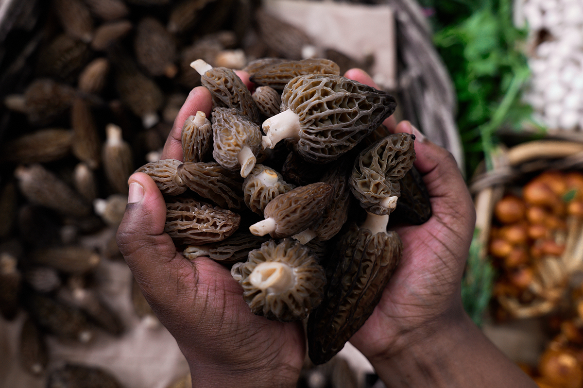 Morel mushrooms at Prahran Market