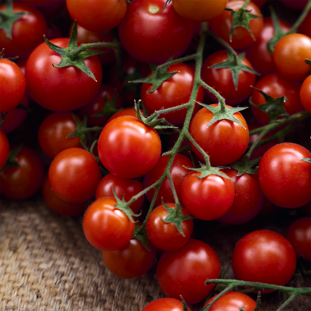 Fresh cherry vines tomatoes at Paddlewheel at Prahran Market