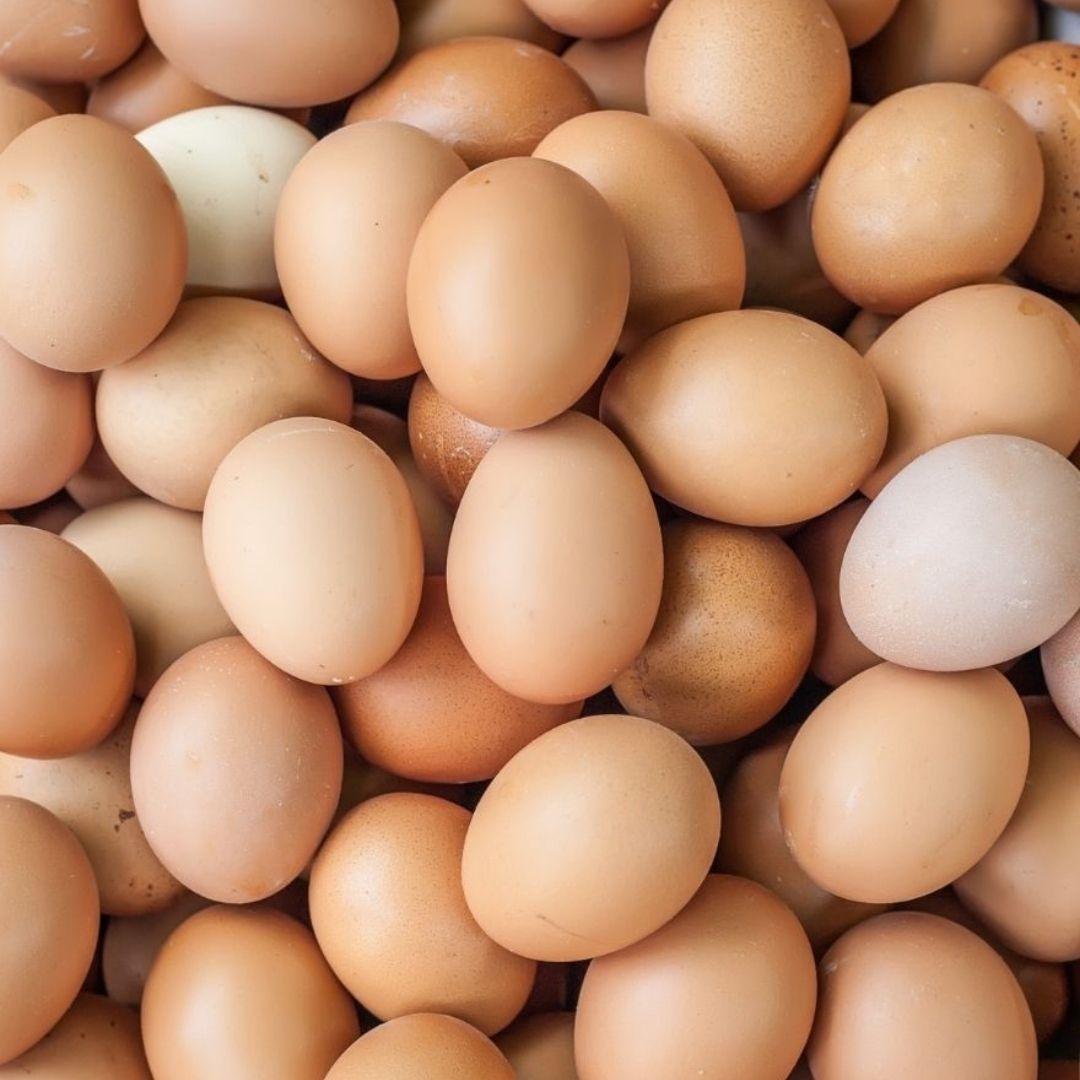 Tall Poppy Eggs from Whisked